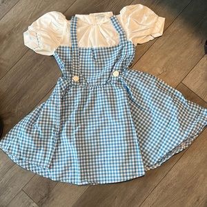 Dorothy Costume